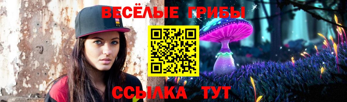 Галлюциногенные грибы ЛСД Белая Калитва
